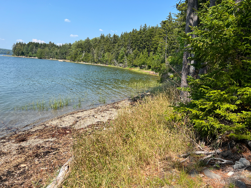 68 Bonsey Ln - Photo 3 of 16