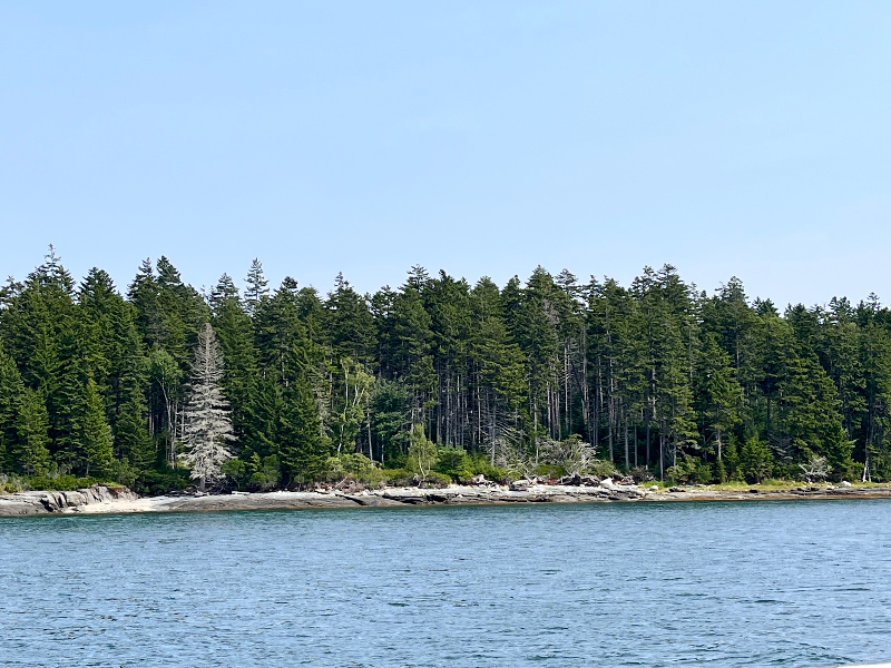 68 Bonsey Ln - Photo 7 of 16