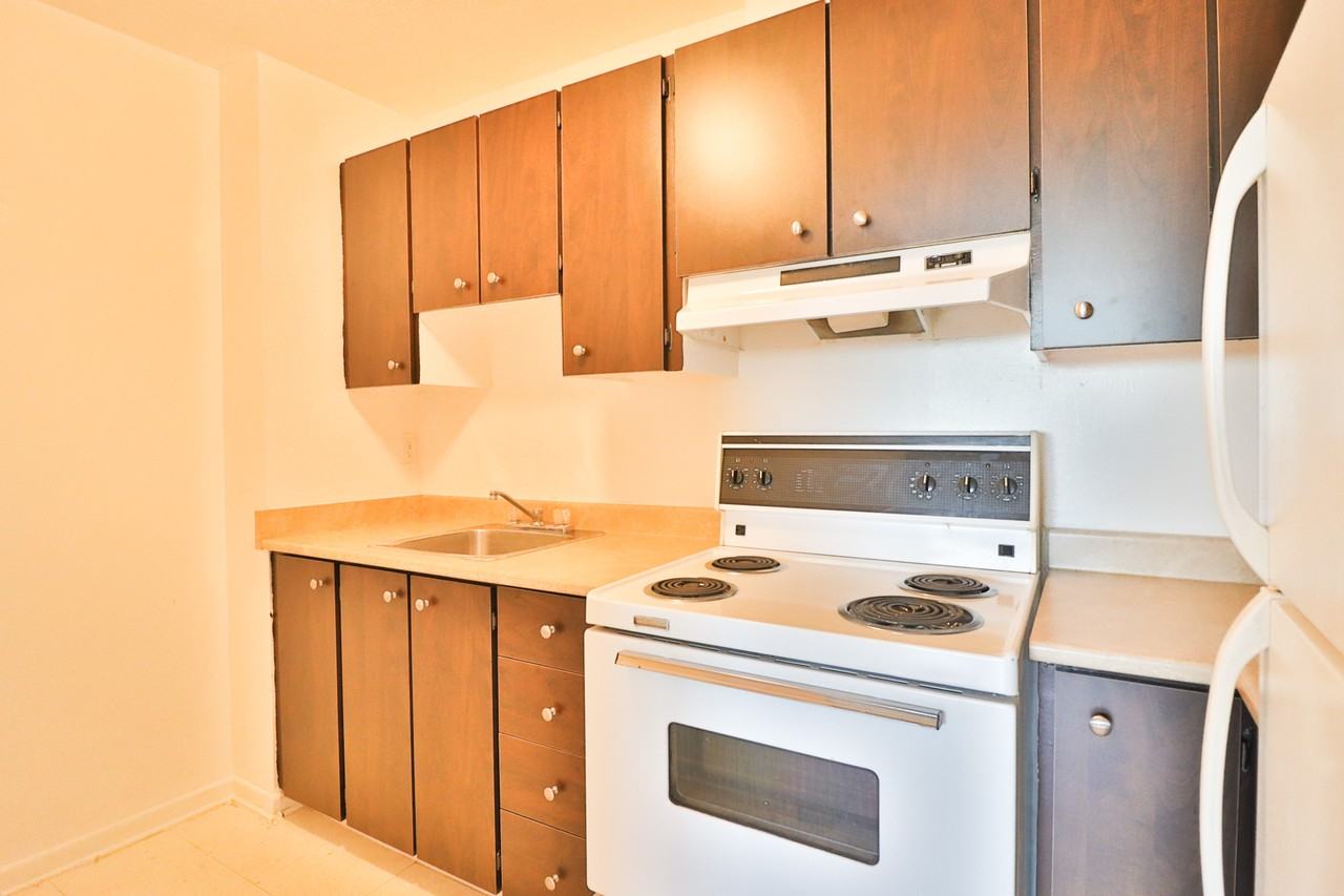 60 MacLaren Street - Photo 5 of 6