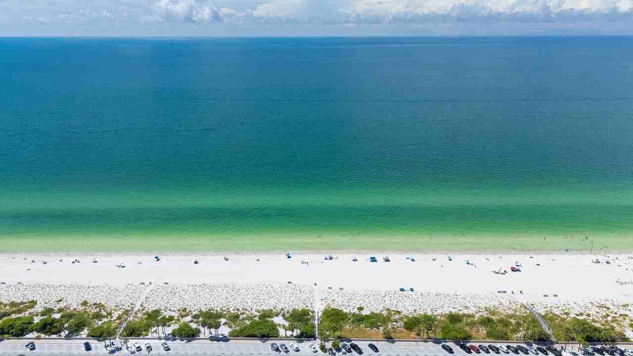 113 12th Ave #NA - Photo 3 of 50