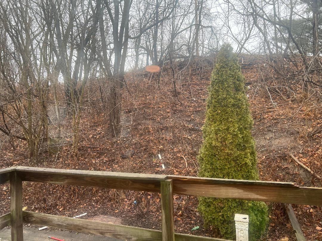 5 Jay St #A - Photo 6 of 10