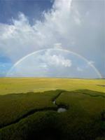 featured image of 1 Marina Dr #301A