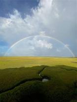 1 Marina Dr #301A - Photo 1 of 1