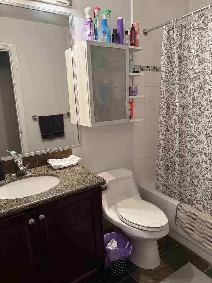 1550 Barclay Street #3** - Photo 5 of 7