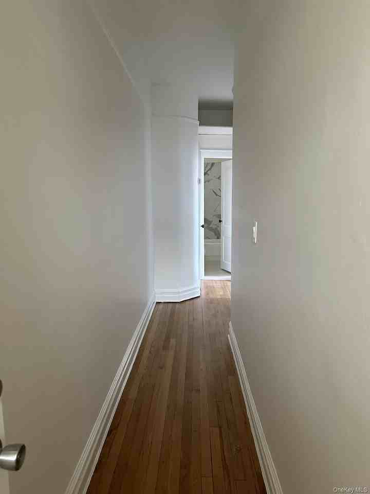 117 Plandome Rd Unit 2r #2R - Photo 4 of 13