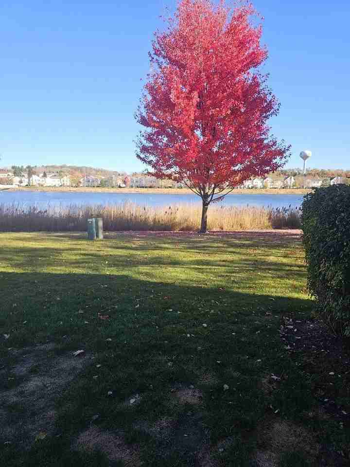 1530 Glacier Trl Unit 0 #0 - Photo 2 of 24