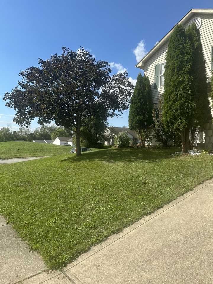 1682 Bridle Way Blvd #1 - Photo 3 of 16