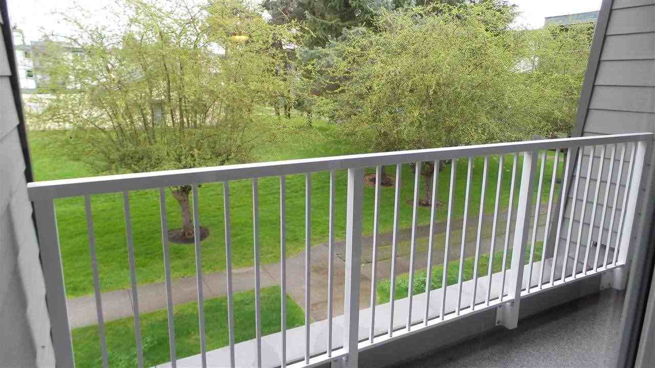 3451 Springfield Drive #214 - Photo 5 of 37