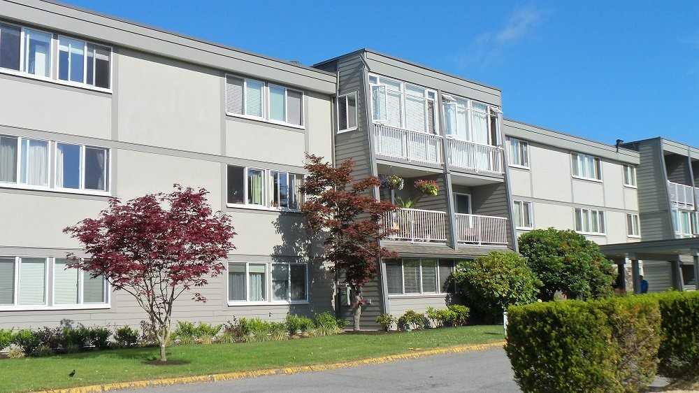 3451 Springfield Drive #214 - Photo 4 of 37