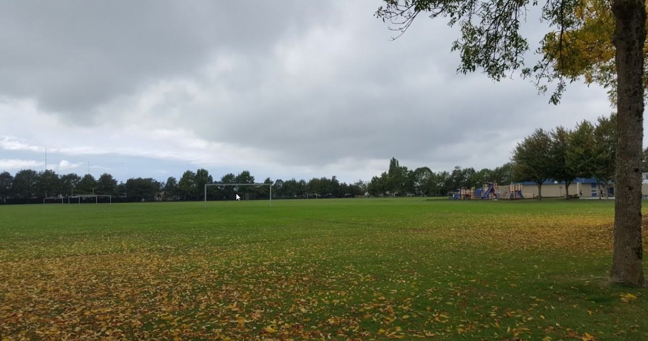 3451 Springfield Drive #214 - Photo 6 of 37