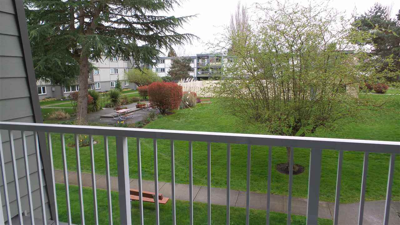 3451 Springfield Drive #214 - Photo 7 of 37