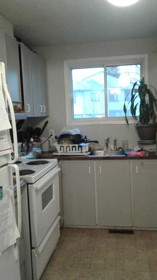 1426 Bethamy Lane - Photo 4 of 5