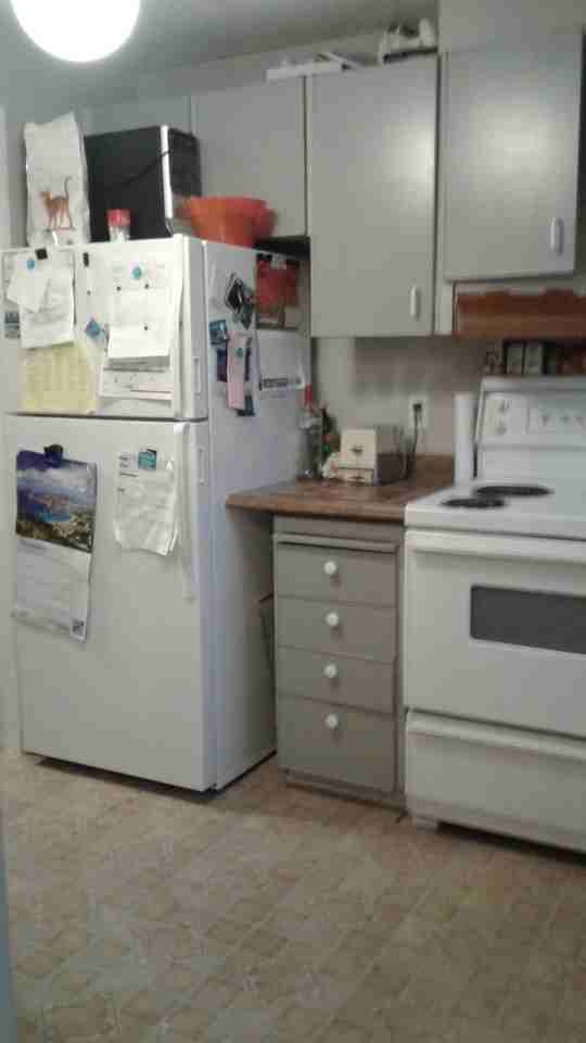 1426 Bethamy Lane - Photo 5 of 5