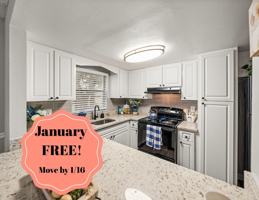 featured image of 500 N Wickham Rd