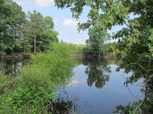 104 Trinity Pond - Photo 5 of 38