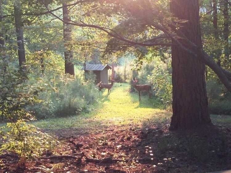 104 Trinity Pond - Photo 6 of 38