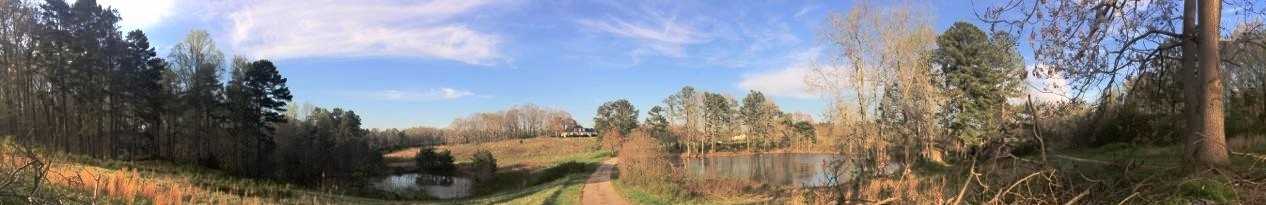 104 Trinity Pond - Photo 7 of 38