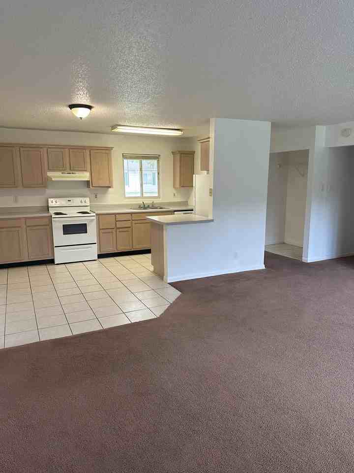 1029 N Lincoln St #1029 - Photo 3 of 20