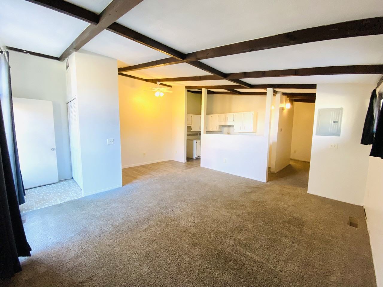 511 Wrexham Ave Sw #511 - Photo 3 of 14