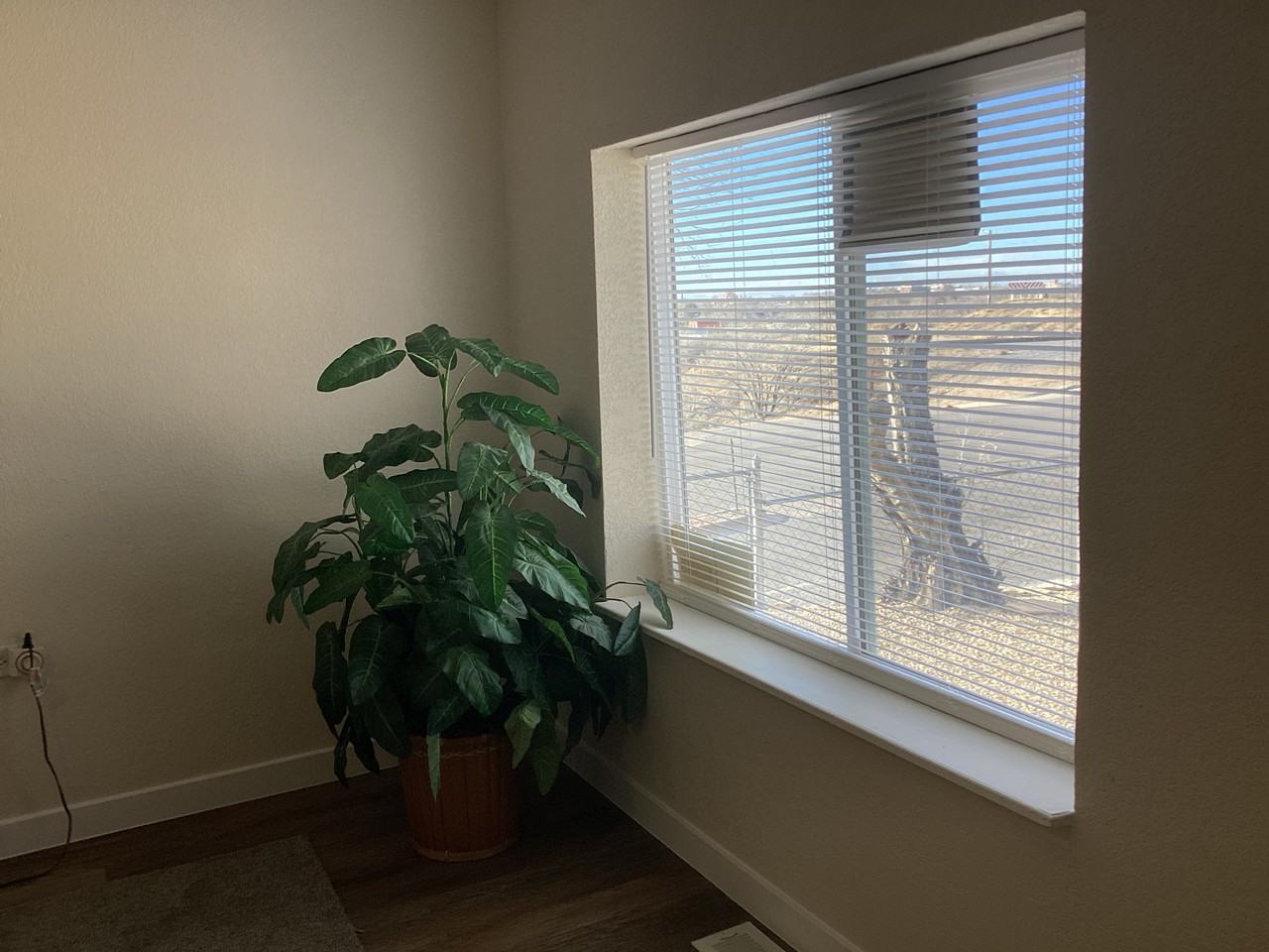 1102 E 2nd St #NA - Photo 5 of 19