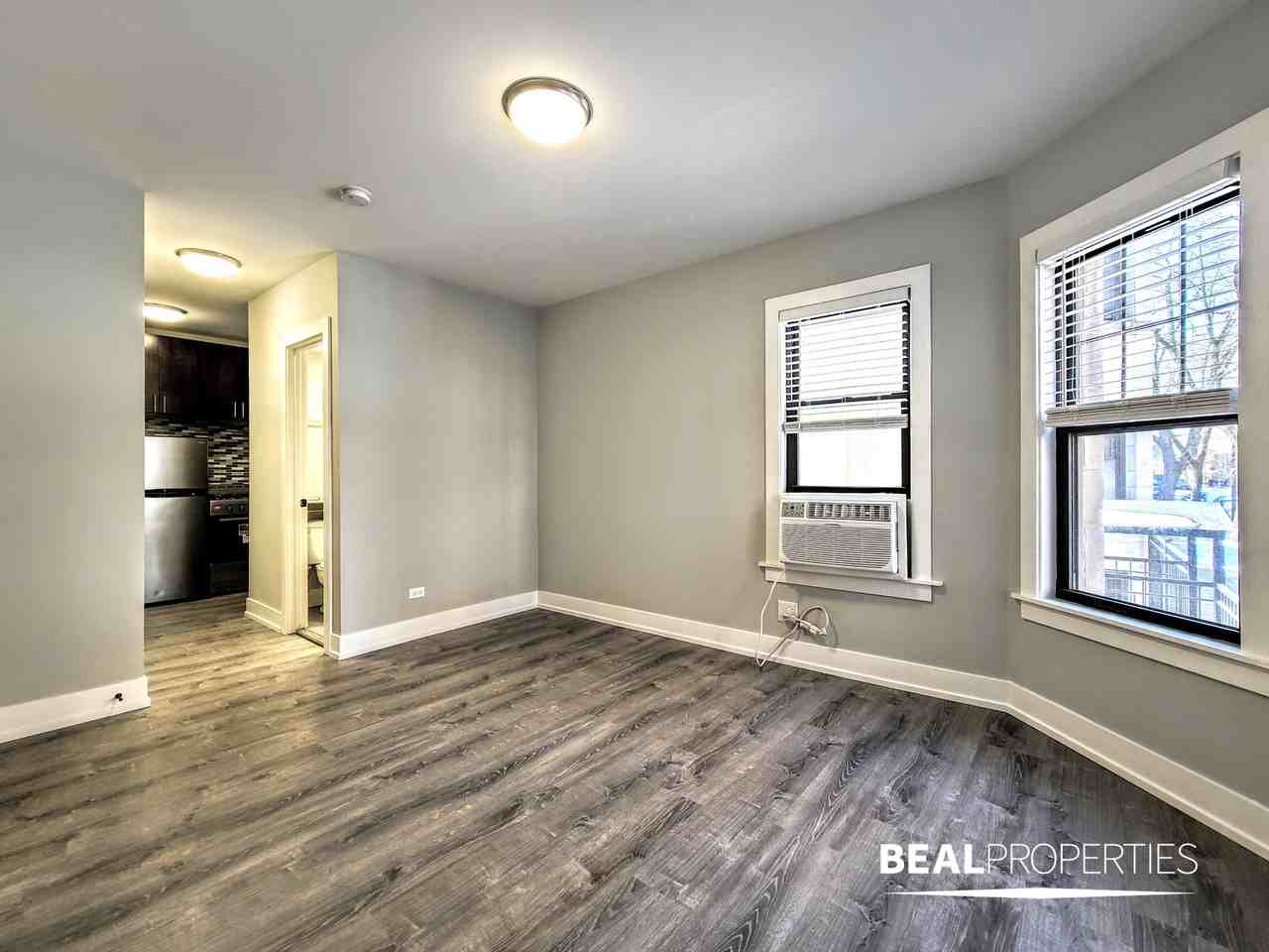 428 W Belden Ave #301S - Photo 4 of 9