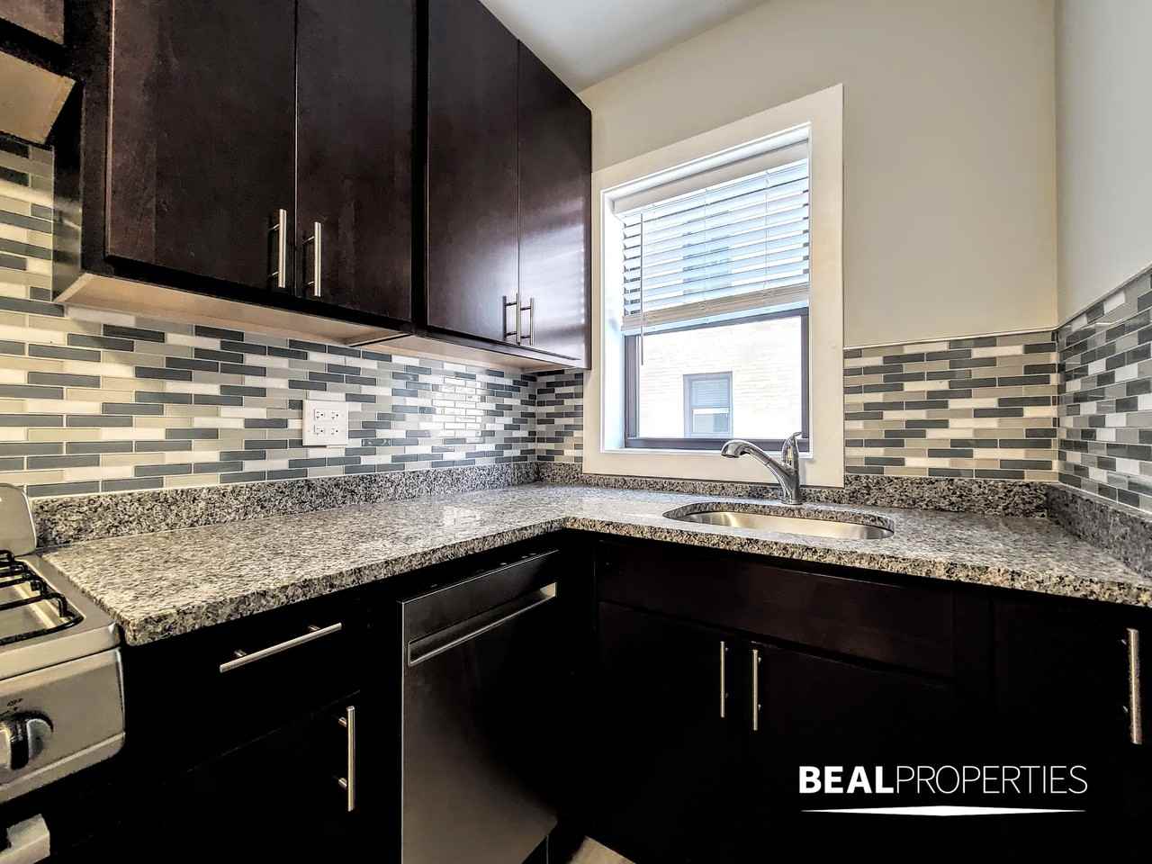 428 W Belden Ave #301S - Photo 6 of 9