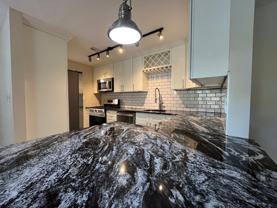 1519 Fairmont St #1519 - Photo 1 of 1