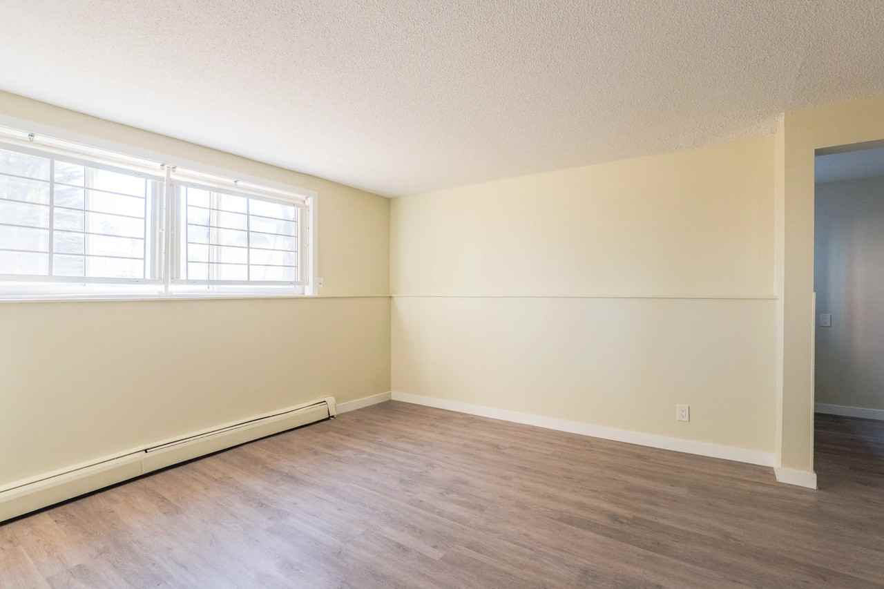 Shannon Villa - Photo 6 of 47