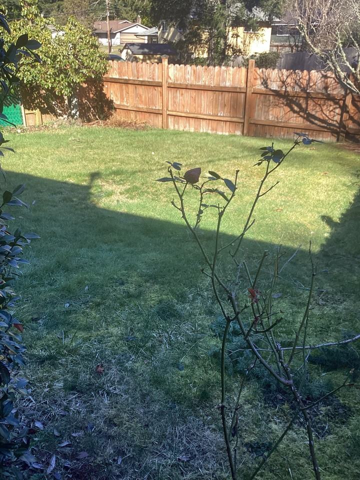 2011 Se Laurel St #1 - Photo 3 of 20