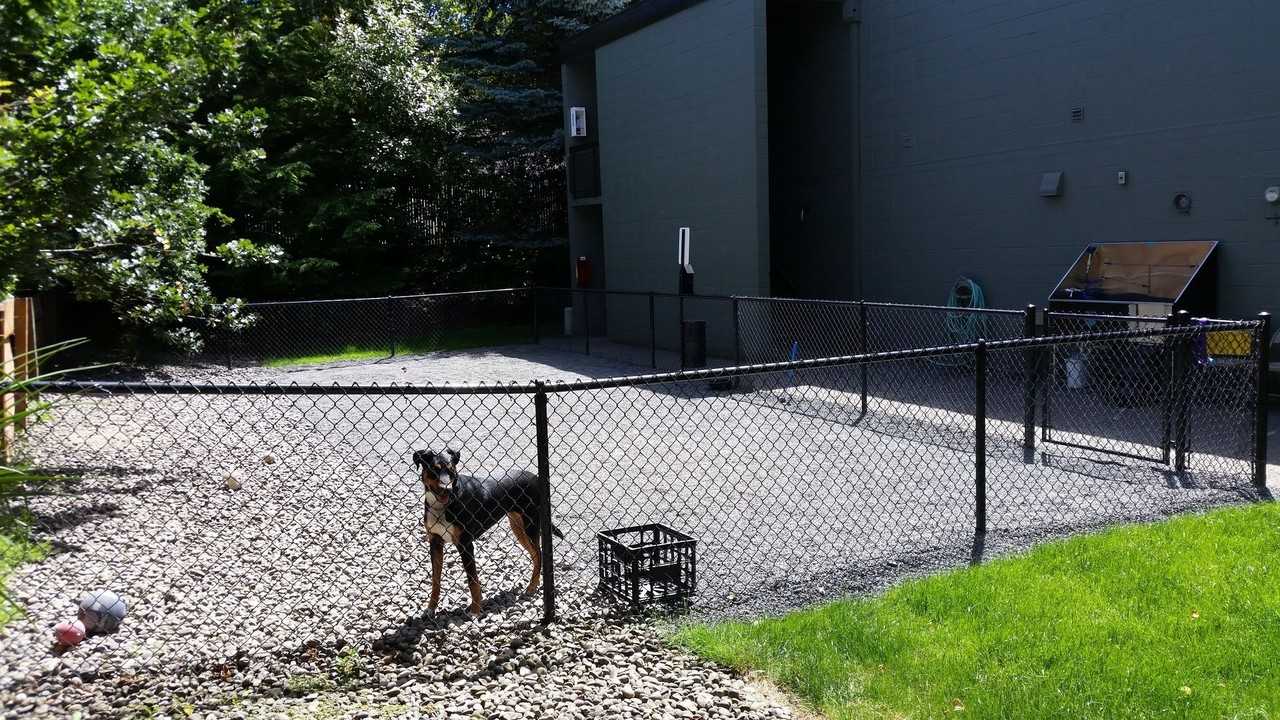 Milan Apartments - Photo 5 of 34