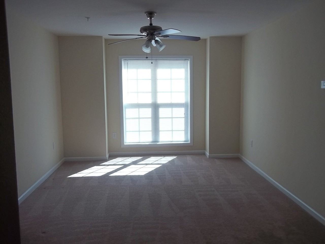 Windsor Park Apartments-- - - Photo 5 of 6