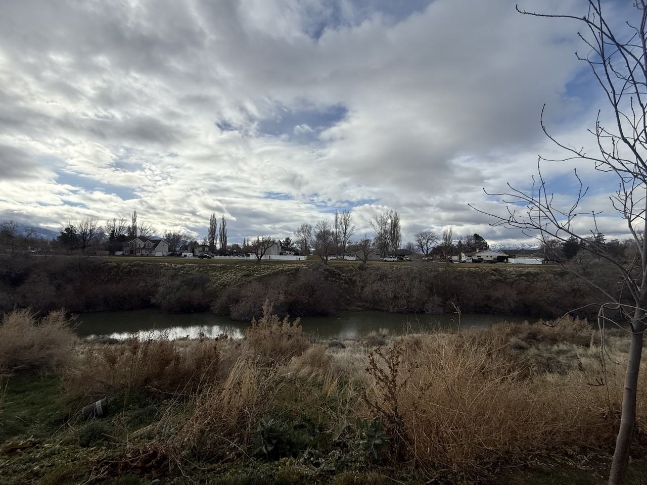 564 Hal St #1 - Photo 6 of 50