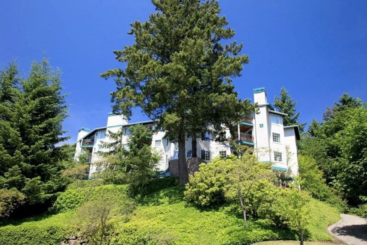 9200 Redmond Place - Photo 4 of 50