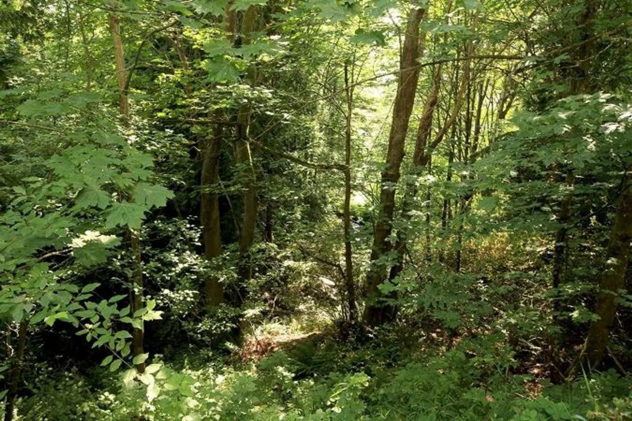 9200 Redmond Place - Photo 6 of 50