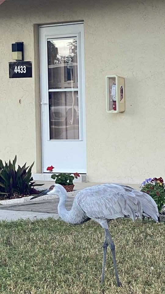 4433 Narraganset Trl #1 - Photo 2 of 26