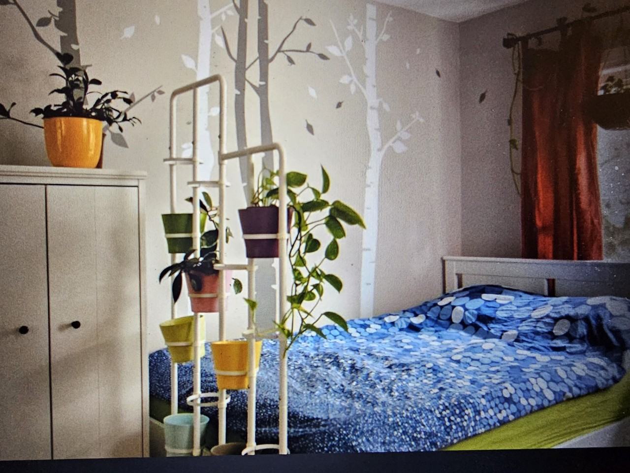 Roseneath Gardens - Photo 2 of 12