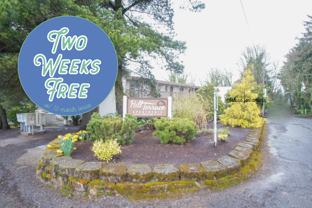 3115 Sw 12th Ave #312 - Photo 1 of 1