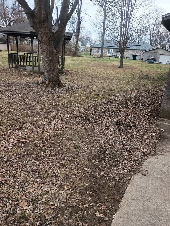 1304 Blue Vale Way - Photo 2 of 11