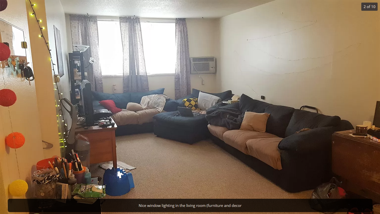 Old Gold - Photo 3 of 17