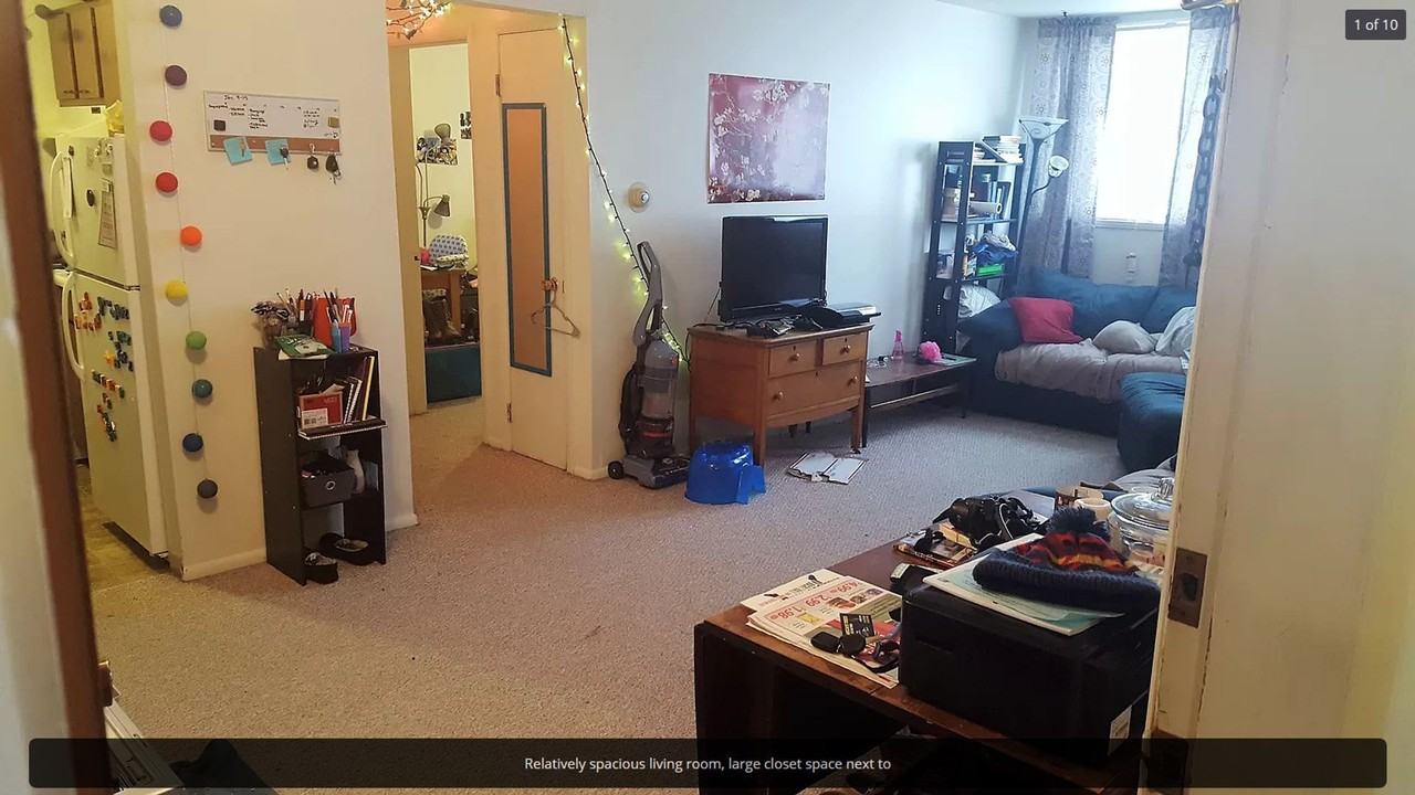 Old Gold - Photo 4 of 17