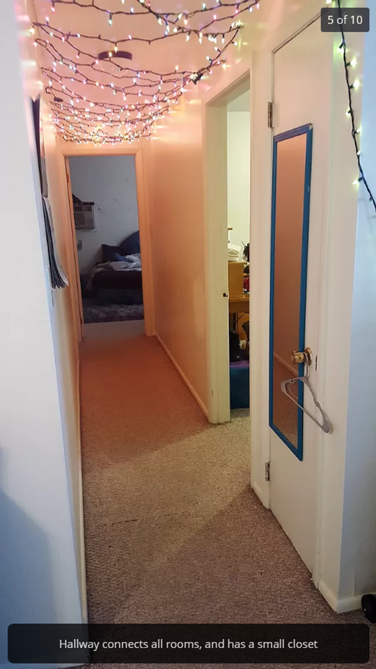 Old Gold - Photo 6 of 17