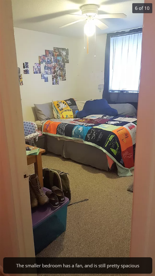 Old Gold - Photo 7 of 17