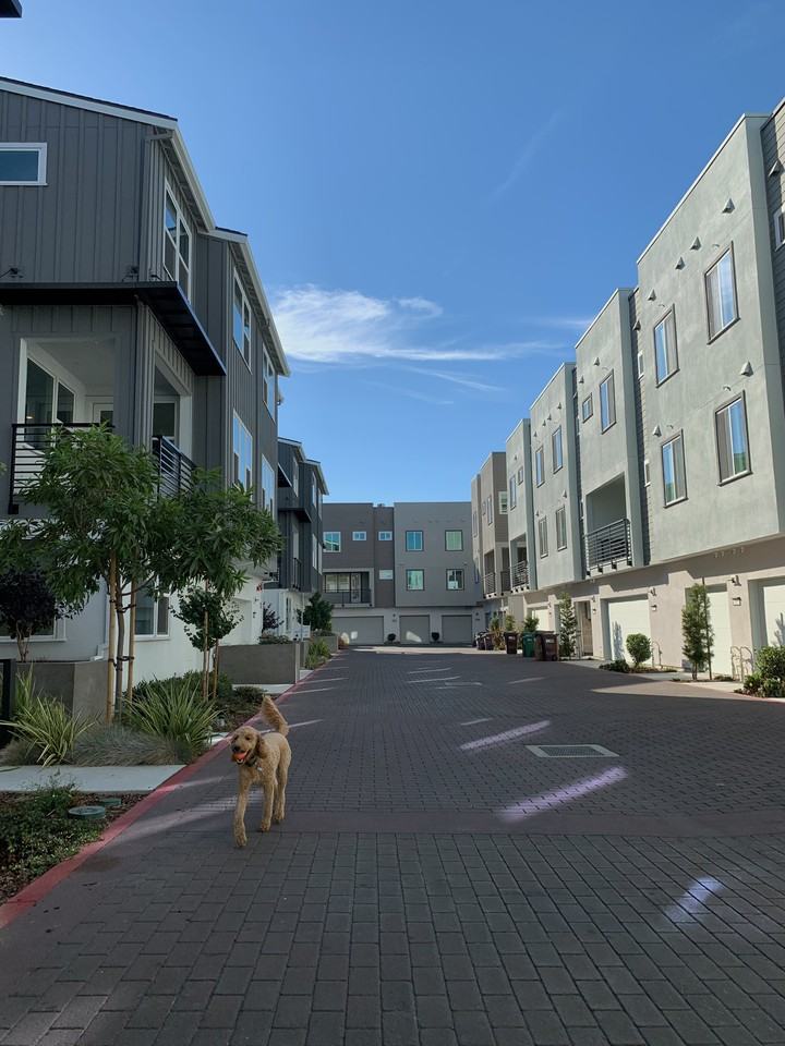 1669 18th St - Photo 6 of 9