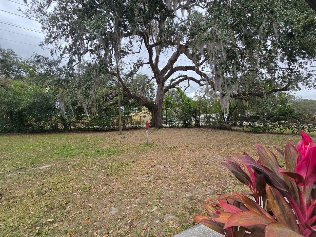 37732 Silver Pines Ave - Photo 5 of 20