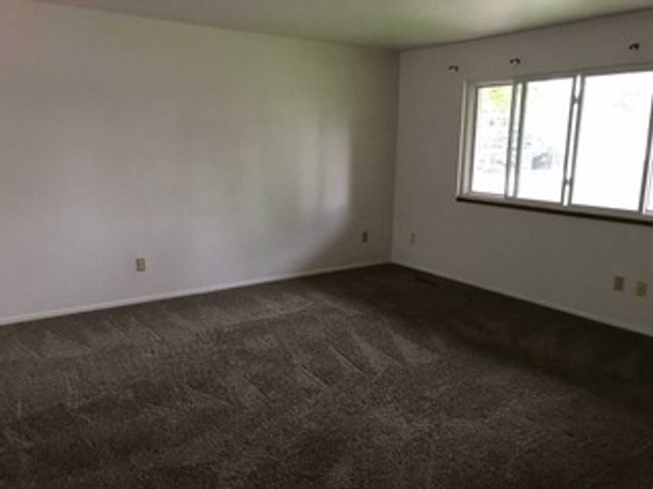 1125 Timber Ln - Photo 3 of 15