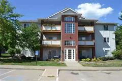 Shirazi Properties - Photo 1 of 1