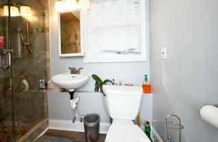 Redcoat - Photo 1 of 1