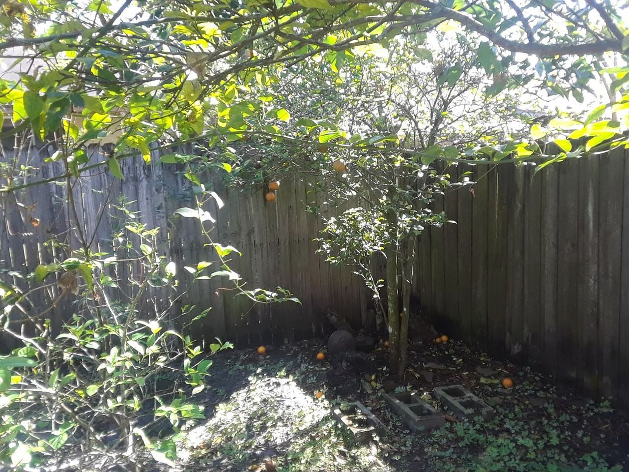 1303 Candlewyck Dr - Photo 5 of 21