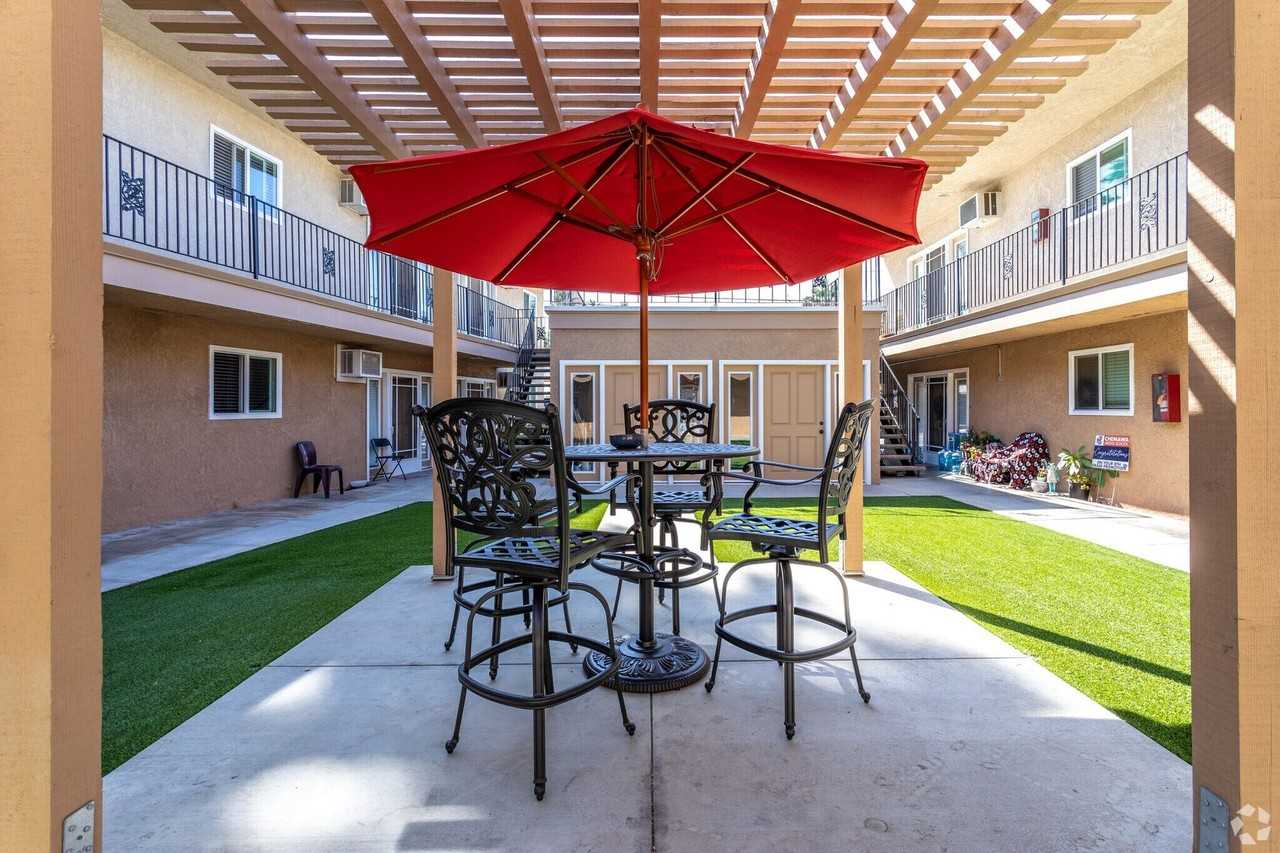 Beautiful Sago Palms - Photo 3 of 14