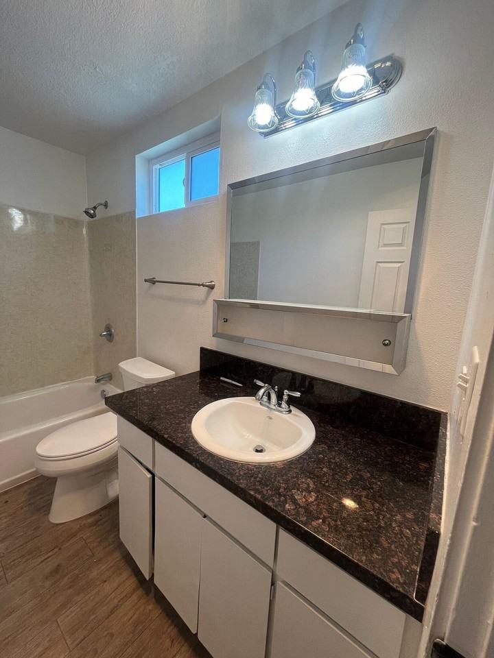 Beautiful Sago Palms - Photo 4 of 14